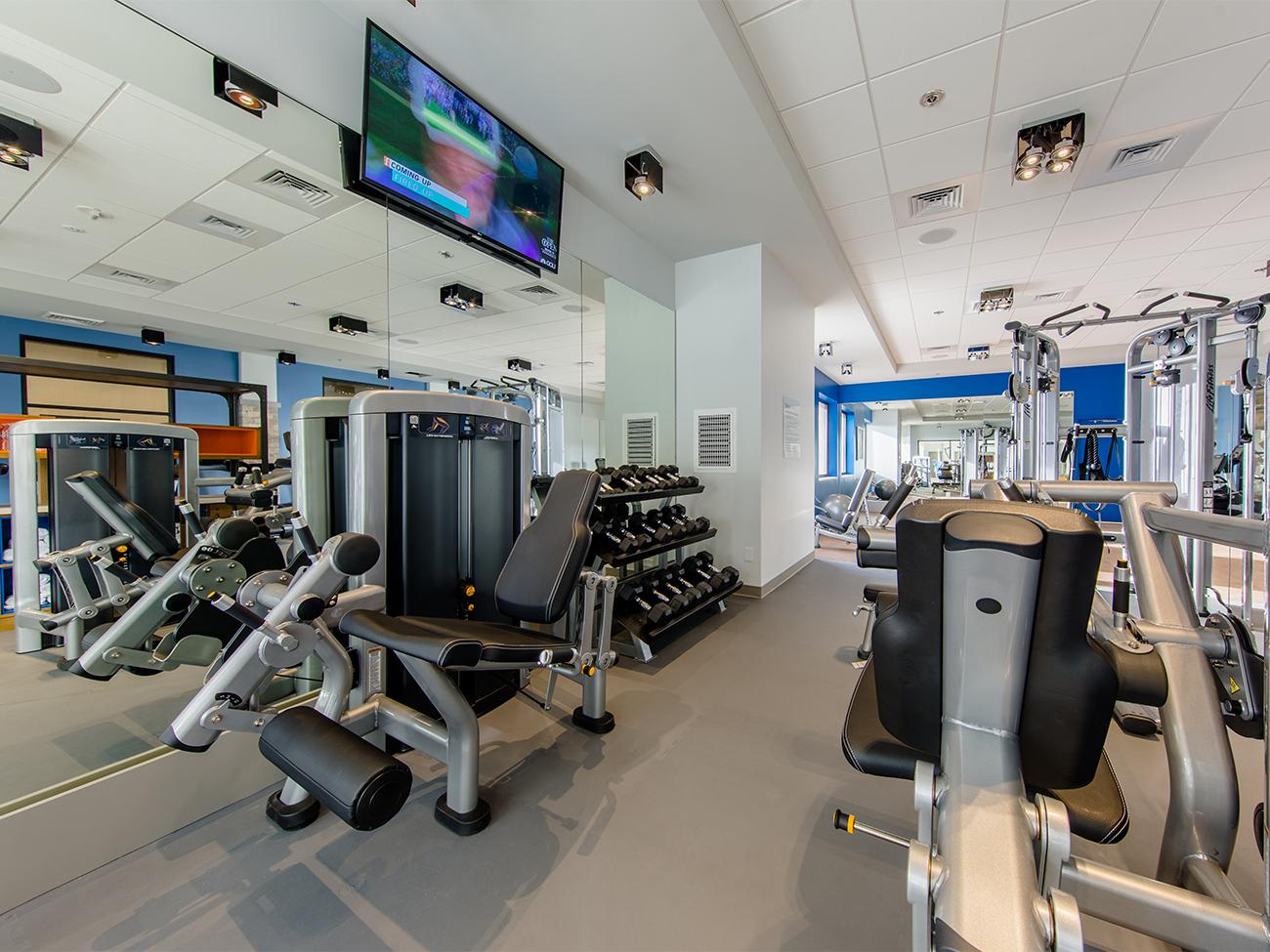MOVE | Fitness Center - Strength Training